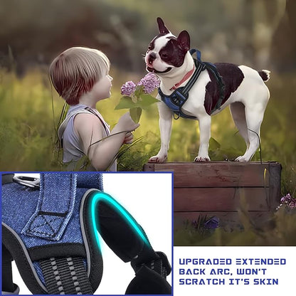 BUMBIN Dog Harness for Large Dogs, No Pull Adjustable No Choke Pet Vest with Dog Leash Fit Smart Reflective Pet Walking Harness for Training Easy Control Soft Handle Denim Blue S