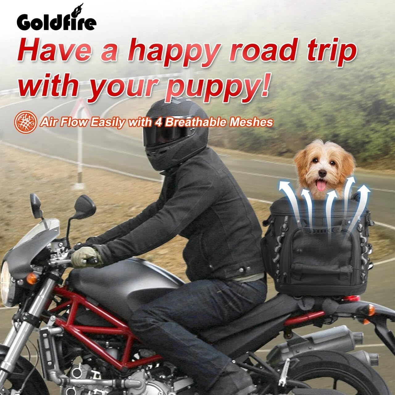 Goldfire Motorcycle Dog/Cat Carrier, Portable Pet Carrier Voyagers Dog Carrier Crate for Street Glide Road King with Luggage Rack or Sissy Bar UTV ATV Touring Trike Models(Black)