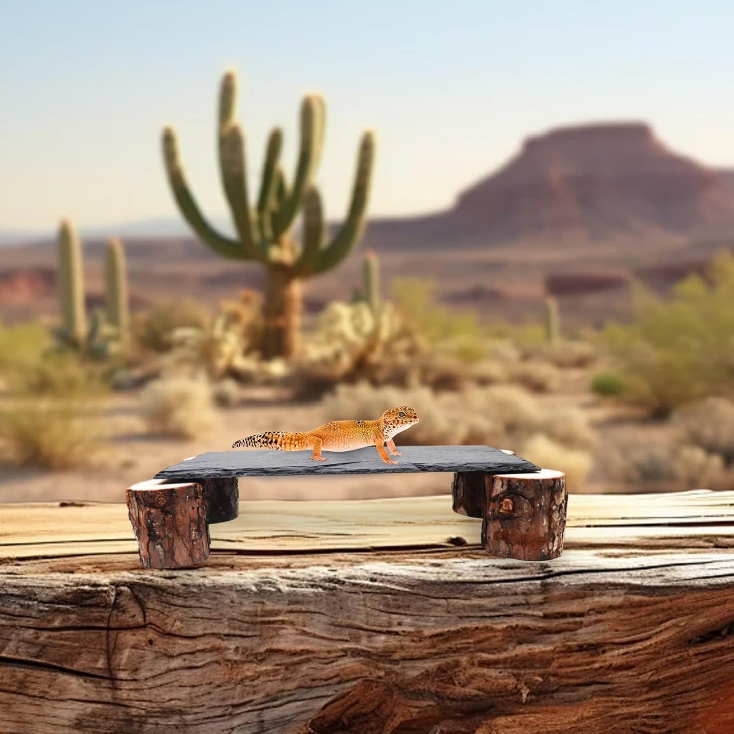 Bearded Dragon Basking Platform, Slate Rocks for Reptiles with Wooden Pile, Leopard Gecko Hides and Caves, Reptile Tank Accessories for Bearded Dragons, Geckos, Ball Pythons, Tortoise (Black, Small)