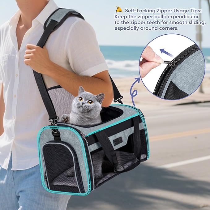 BALEINE Cat Carrier, Puppy Dog Carrier for Small Medium Pets Up to 15 Lbs, Soft-Sided Dog Travel Bag with Safety Zippers, Collapsible Pet Carrying Case (Gray, L, 17"x11"x11")