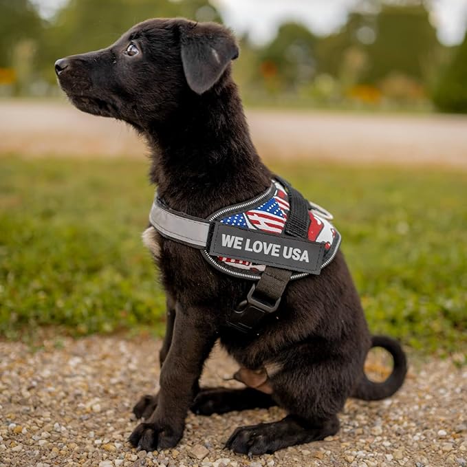 Personalized No-Pull Dog Harness with Name Patch, Adjustable, Reflective, Padded, Heavy Duty Pet Vest to Prevent Tugging, Pulling, or Choking, Training and Walking, Military Desert, L