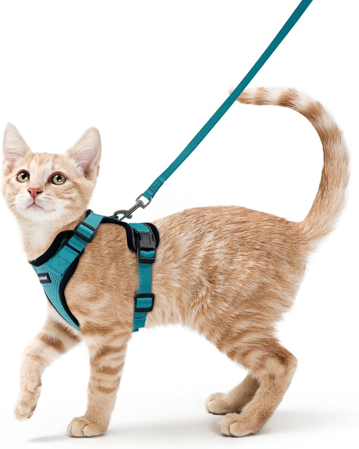 rabbitgoo Cat Harness and Leash for Walking, Escape Proof Soft Adjustable Vest Harnesses for Cats, Easy Control Breathable Reflective Strips Jacket, Teal, S