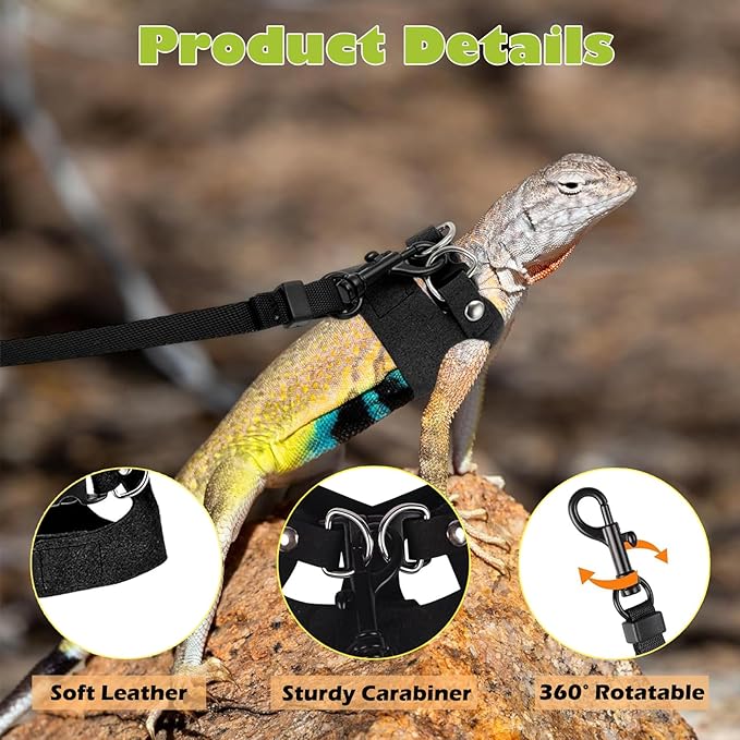 KABASI Bearded Dragon Harness Leash Set, 3 Size Adjustable Lizards Training Walking Leather Vest Escape-Proof Traction Rope for Squirrel and Other Outdoor Small Reptiles (Black)