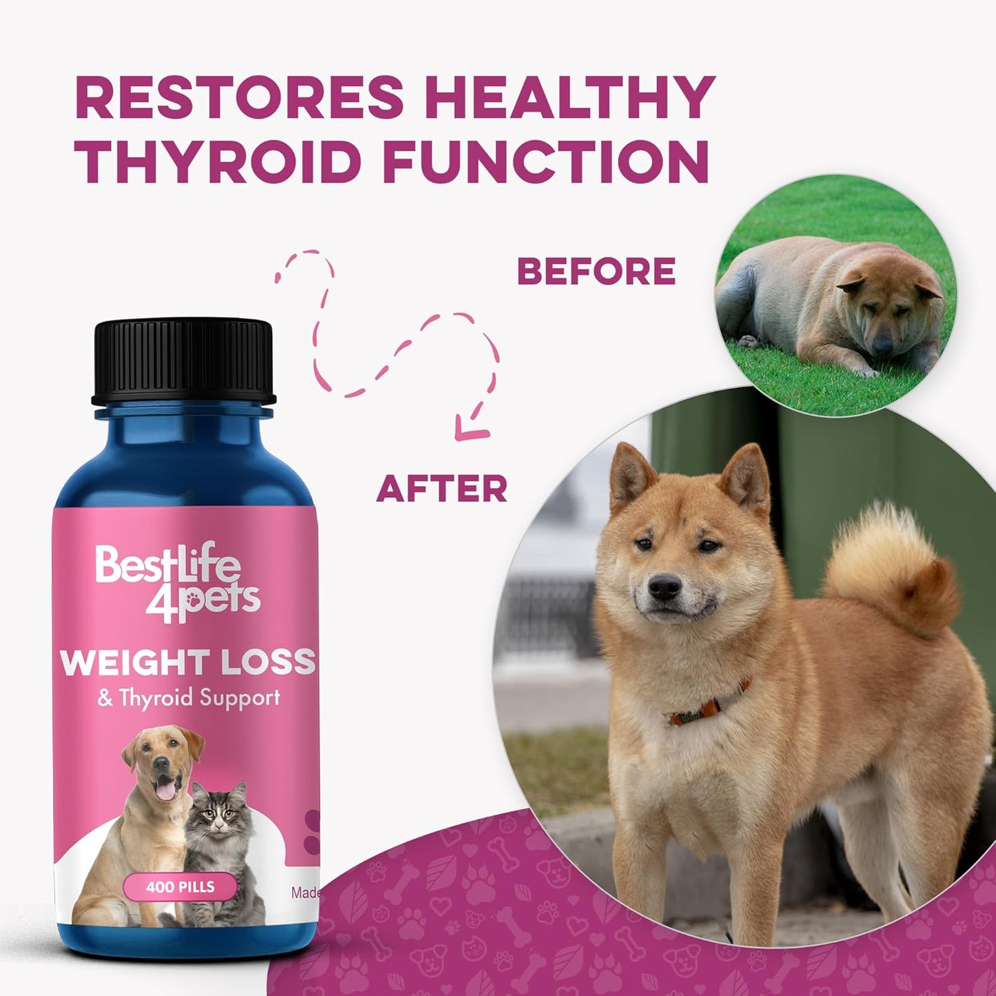 Weight & Thyroid Support for Dogs and Cats, Natural Solution for Hunger Control, Metabolism Support, Optimal Thyroid Function, Effective Dog & Cat Weight Loss, 400 Odorless, Tasteless Pills