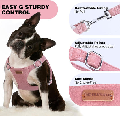 Dog Harness and Leash Set, XXS No Pull Adjustable Puppy Harness with Multifunction Pink Dog Leash and Dog Collar, Soft No Choke Escape Proof Pet Harness Vest for Small Dogs and Cats (Red, XS)