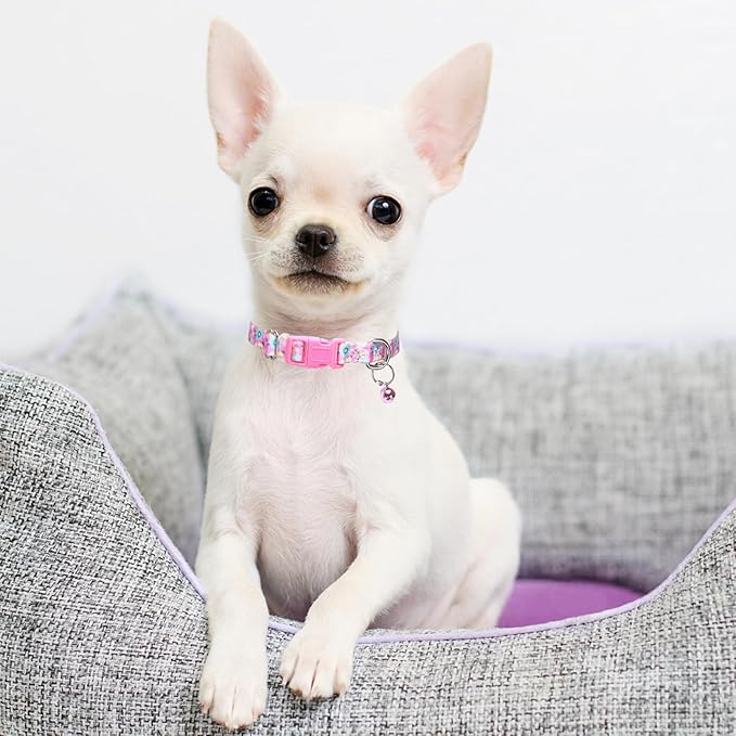 Pink Floral Dog Collar with Bell for Small Dogs, Pretty Cute Flower Dog Collar Girl Puppy Collars with Bells for XS Small Tiny Pet Female Dogs Kitten Little Animal, S