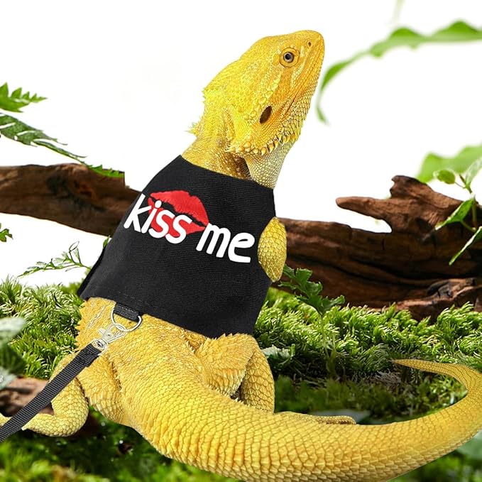 Bearded Dragon Harness and Leash with Glow in The Dark Letter, Luminous Lizard Reptiles Harness with 4.75 ft Leash for Amphibians Chameleons Outdoor Walking (Black)