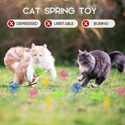 Cat Spring Toy 60 Pack, Plastic Springs Cat Toy Springs for Indoor Cats Kitten Toys for Swatting, Biting, Hunting, Tnteractive (4 Colors)