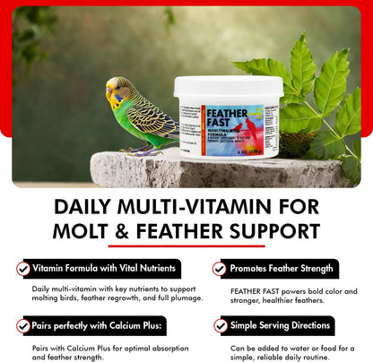 Morning Bird Feather Fast 6 Oz – Multi-Vitamin During Molt - Molting Support Supplement for Birds – Amino Acid & Vitamin Powder Formula– Promotes Feather Growth, and Full Plumage – for All Adult Birds