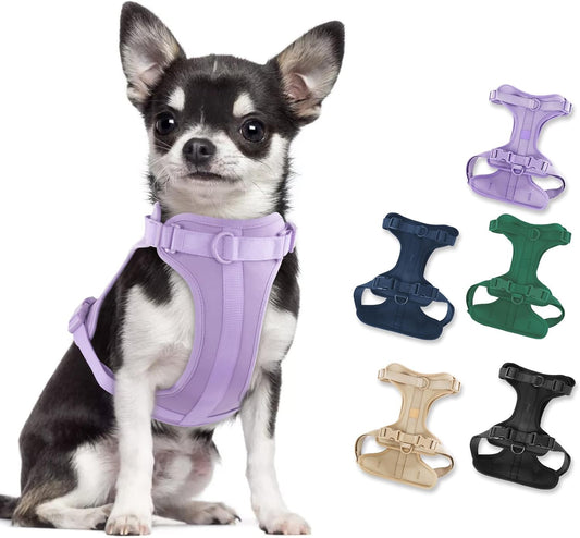 No Pull Lightweight Dog Harness: Adjustable Durable Breathable Mesh Pet Vest Harness with Soft & Comfortable Cushion, for Small Medium Large Dogs (S, Lilac)