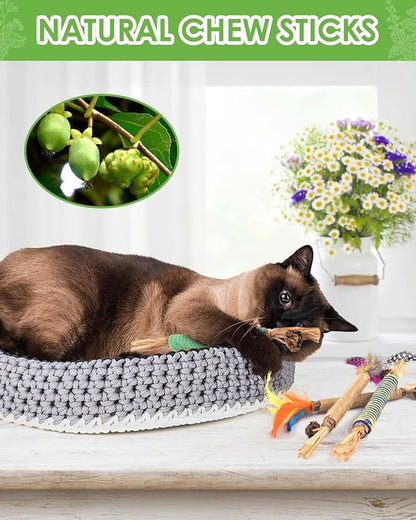 TINDTOP Catnip Chew Toys for Cats, 4 Pack Natural Silvervine Sticks for Kittens Teeth Cleaning, Matatabi Dental Care, Increase Appetite, Aggressive Chewers Cat Dental Toy