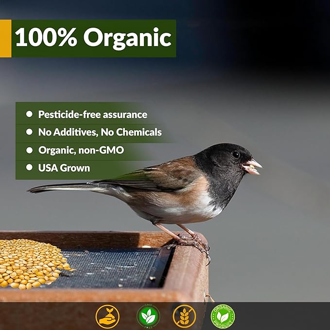 Old Potters Wildlife Organic White Millet for Bird Feeding and Wildlife Bird attracting, Non-GMO and USA Grown, 25 lbs