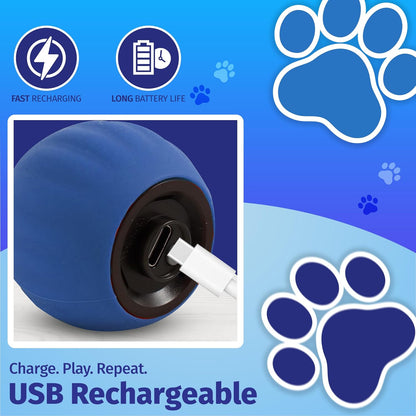 Speedy Tail 2.0 Cat Toy, Interactive Cat Toys for Indoor, Automatic Moving Kitten Rolling Ball with Tail, Rechargeable & Two Speed Adjustment, Smart Interactive Dog Ball, Rollie Pet Chase, Blue