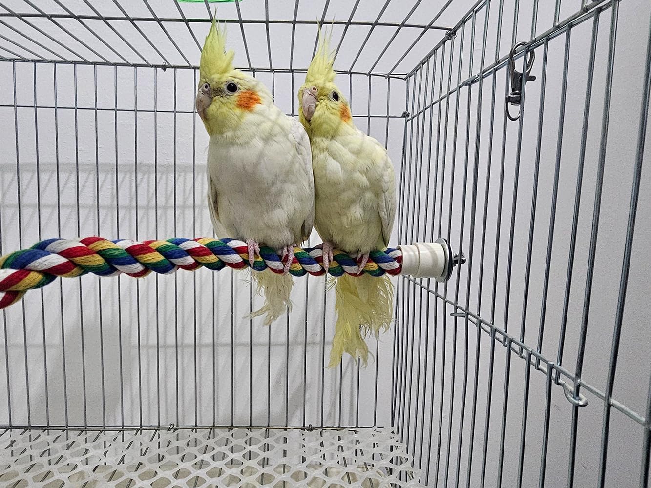 Bendable Fun Climbing Bird Cotton Rope Perch, Colorful Bungee Toy for Parrot, Bird Cage Accessories (31.5'' Metal Nut)