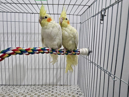 Bendable Fun Climbing Bird Cotton Rope Perch, Colorful Bungee Toy for Parrot, Bird Cage Accessories (31.5'' Metal Nut)