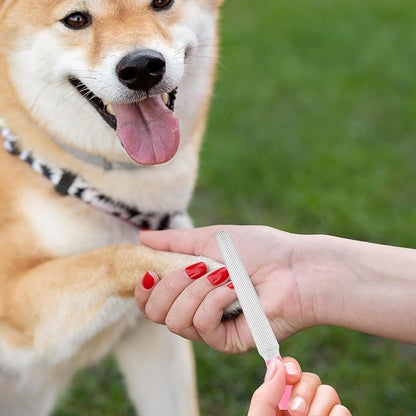 4.9"Small Dog & Cat Nail Clipper 2 Pcs Dogs and Cats Grooming Nails Clippers Kit Pet Nail Clipper with Nails File Pet Trimmers for Rabbits Guinea Pigs Birds Puppies Kittens Avoid over Cutting Toenail