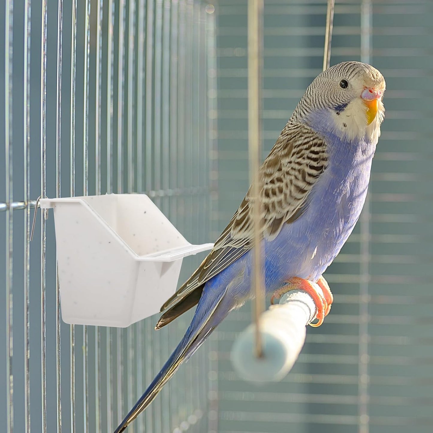 LemonRoad 3 Pcs Bird Cage Feeders Winged Plastic Cup Universal Cage Waterer Milky White Food Dishes Bowl Pet Supplies Accessories for Small Bird