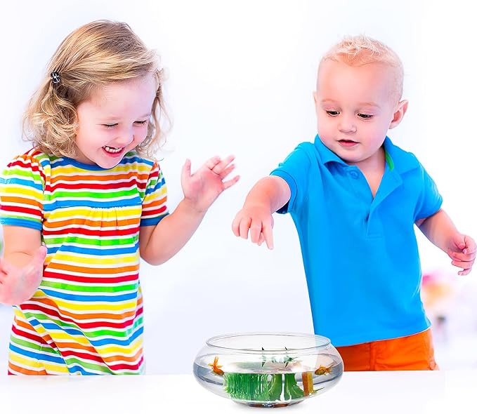 Kisangel Glass Bubble Bowl Round Fish Bowl Clear Plant Terrarium Air Planter Bulb Succulent Pot Flower Vase for Tabletop Decoration 2800ml 9.51X9.51 inch