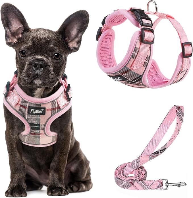 PUPTECK Soft Mesh Dog Harness and Leash Set Pet Puppy Cat Adjustable Reflective Padded Vest No Pull Harnesses, Pink, S