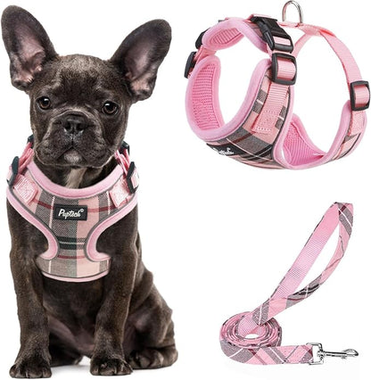 PUPTECK Soft Mesh Dog Harness and Leash Set Pet Puppy Cat Adjustable Reflective Padded Vest No Pull Harnesses, Pink, S