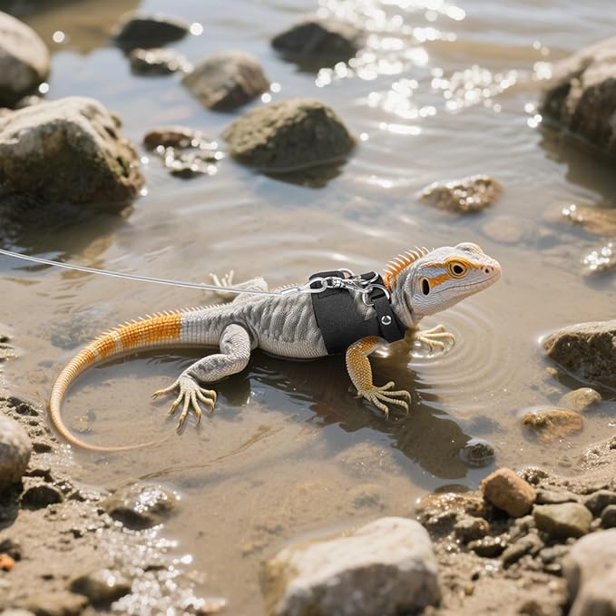 3 Pack Escape-Proof Bearded Dragon Leash - Adjustable Leather Vest and Retractable Nylon Leash, Bearded Dragons Accessories for Chameleons & Small Pets (S/M/L,Black)