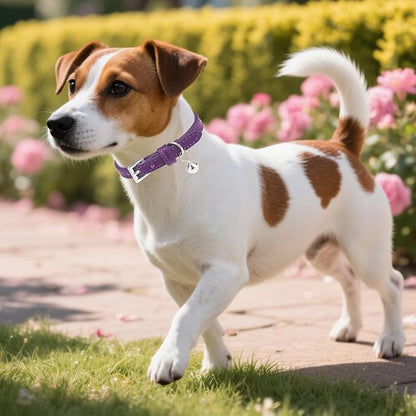 PUPTECK 2 PCS Soft Genuine Leather Cat Kitten Collar with Bells Adjustable for Girl Boy Cats Puppy - Yellow Green, Deep Purple