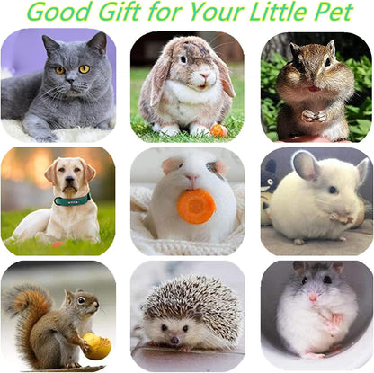 Cat Toys,3 Pack Silvervine Cat Feather Toy Kitten Chew Stick Catnip Treat for Cleaning Teeth Indoor Kitty Teaser Wand Molar Snack Interactive Pet Rabbit Bunny Hamster