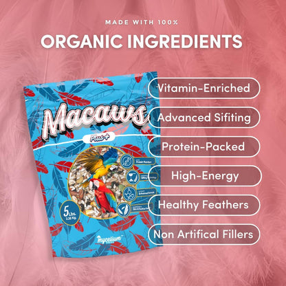 Mycelium Organic Macaw Plus Bird Seed Mix (5 LBS) | Premium Bird Food for Macaws & Large Parrots | High-Protein & Vitamin-Fortified Formula | Skin & Feather Support | Non-GMO, No Fillers, USA Made
