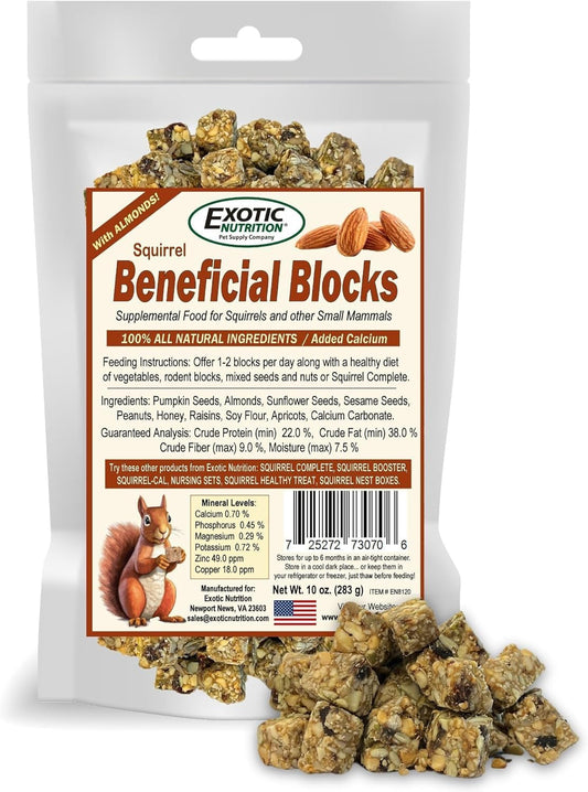 Exotic Nutrition Beneficial Blocks (20 oz.) - Healthy & Unique Supplemental Food with Nuts & Seeds for Squirrels