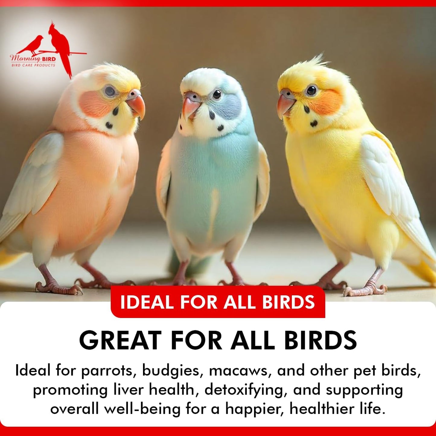 Morning Bird Milk Thistle & Dandelion Extract 2 fl oz - Organic Bird Supplement for Optimal Health – Support Liver Heath & Promotes Detox - Suitable for All Birds Species