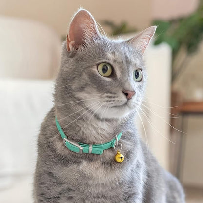 CollarDirect Leather Cat Collar with Bell - Kitten Collar, Small and Big Cat Collar for Boy Cats, Girl Cats with Safety Elastic Strap (Neck Fit 6"-7", Mint Green)