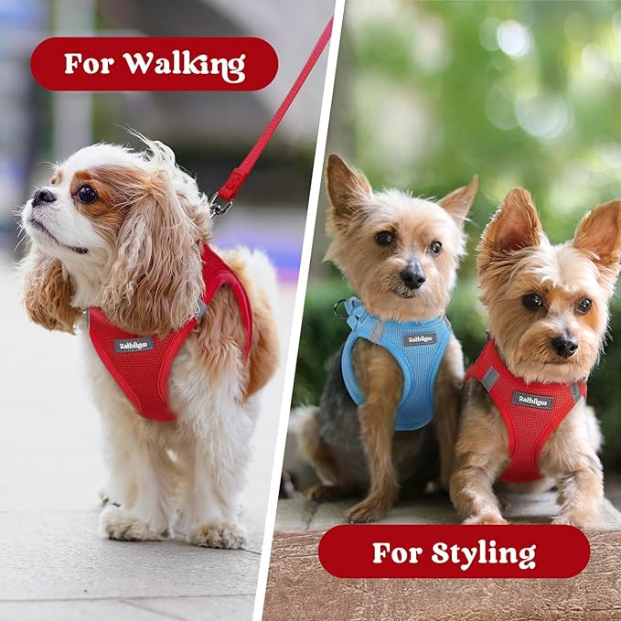 rabbitgoo Small Dog Harness, Step-in Soft Mesh Puppy Vest with Safety Buckle, Breathable Reflective Pet Harness for Small Sized Dogs, Red S