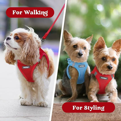 rabbitgoo Small Dog Harness, Step-in Soft Mesh Puppy Vest with Safety Buckle, Breathable Reflective Pet Harness for Extra Small Dogs, Red XXS