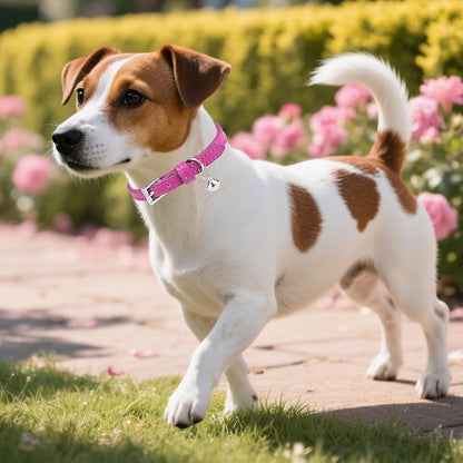 PUPTECK 2 PCS Soft Genuine Leather Cat Kitten Collar with Bells Adjustable for Girl Boy Cats Puppy, Rose Pink