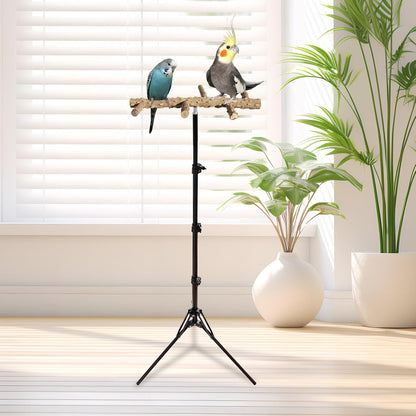 Wooden Bird Perch Stand with a Height Adjustable Tripod, Bird Training Accessories for Indoor or Outdoor, Birds Stand for African Grey, Budgies, Cockatiels, Lovebirds, Conures, Small to Medium Birds