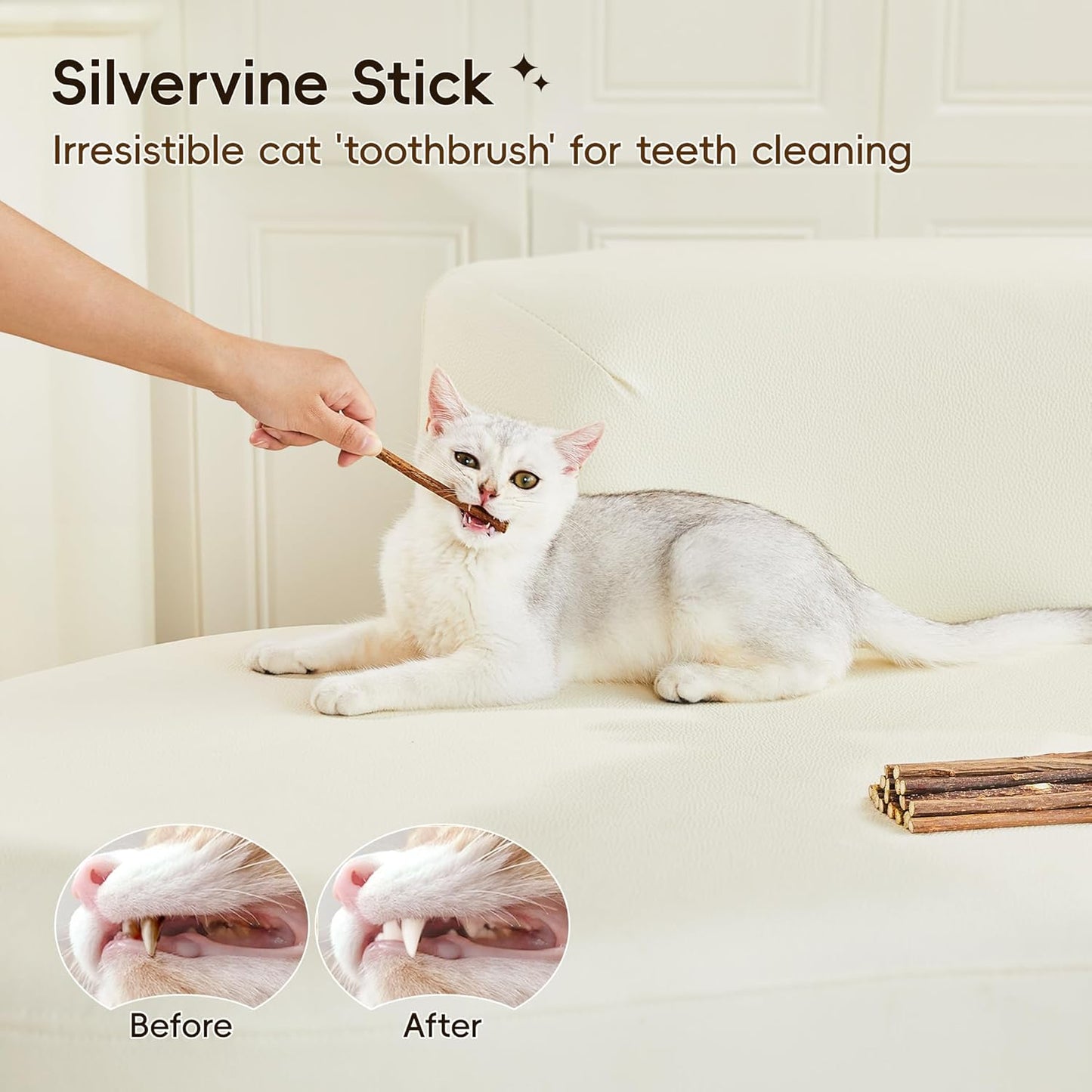 Potaroma Natural Catnip Silvervine Gall Fruit Cat Toys Set with Plush Shell, Organic Kitten Toys for Relaxing and Teething, Interactive Cat Kicker Set (2.2" Dia Tubes)