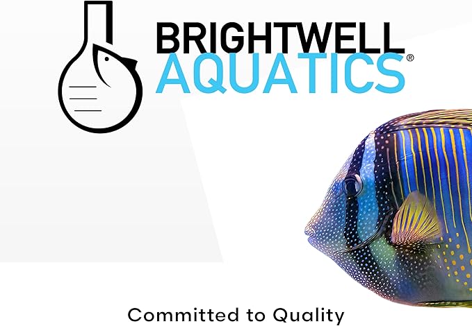 Brightwell Aquatics Calcion - Concentrated Ionic Calcium Supplement for Reef & Saltwater Aquariums Supports Coral Growth Aragonite Formation No Phosphate, 2L