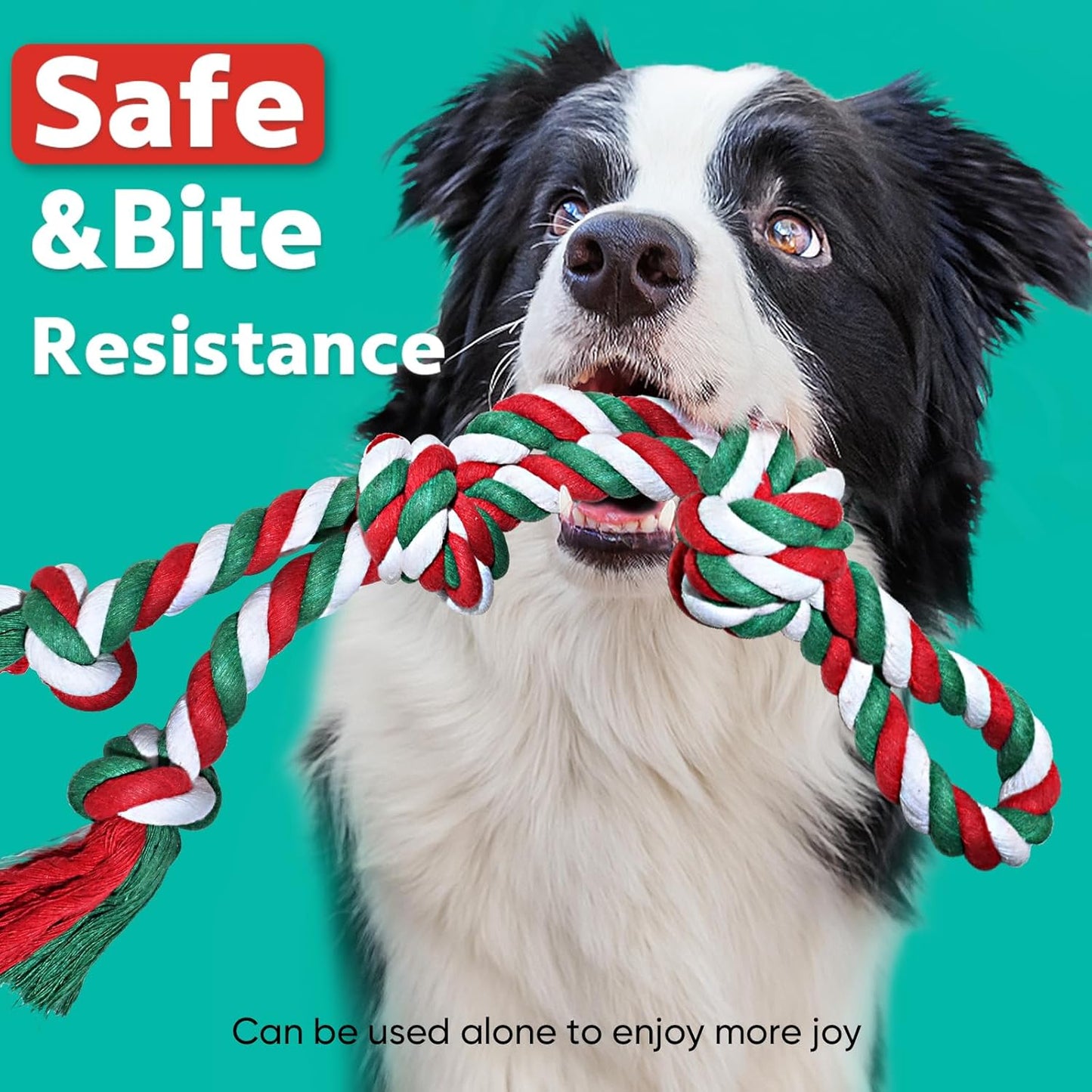 Petbobi Bungee Dog Toy, Outdoor Dog Tug Toy for Pitbull Interactive Exercise, Spring Pole Tug-of-War Toy with Durable Rope, Hanging Toy for Large Dogs to Reduce Boredom, Red