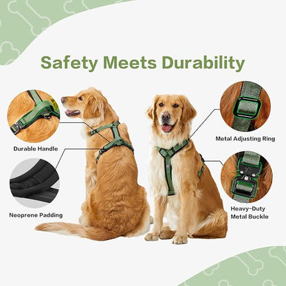 PawsPassion Dog Harness for Small Dogs, No Pull Dog Harness Easy Walk with Metal Hardware, Ergonomic Y-Shaped Design, Soft Padding, Padded Handle, Durable High-Tensile Nylon (Evergreen, S)
