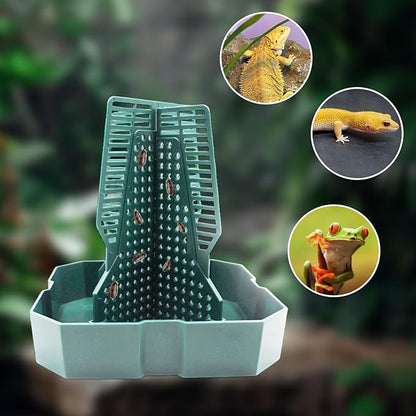 Bearded Dragon Tank Accessories, Lizard Feeder, Reptile Food Cup, Dubia Roaches Organizer with Column for Prey to Climb and Move, Food Bowl for Bearded Dragon, Gecko, Frog
