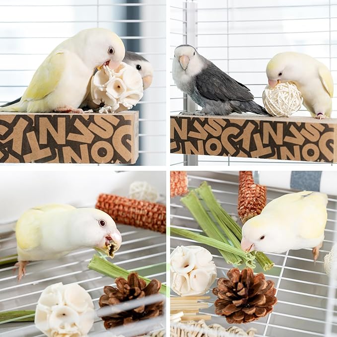 40 Pcs Bird Parrot Toys, Natural Bird Foraging Toy for Cockatiels, Lovebirds, Budgies, Small to Medium Parrot