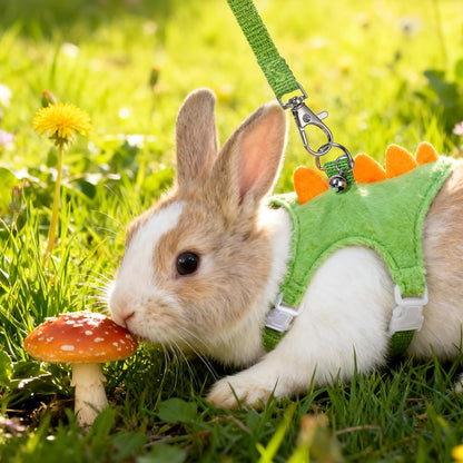 Ferret Harness and Leash Set Dinosaur Shaped Small Pet Harness and Leash Set with Safety Bell, Adjustable Vest for Ferret, Hedgehog, Guinea Pig, Rabbit and Other Small Animals