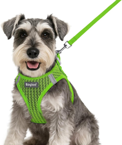 Eagloo Small Dog Harness and Leash Set, Step in Puppy Vest with Breathable Soft Mesh, Walking Reflective Pet Harness for Small Dogs, Green, S