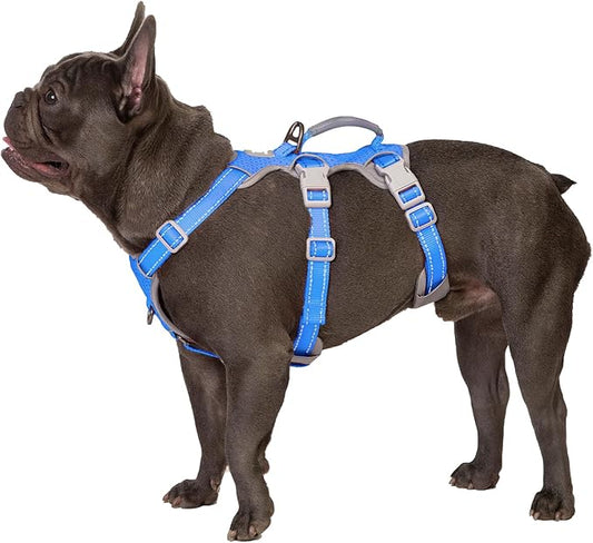 Huntboo Escape Proof Dog Harness, Secure Dog Harness No Escape, Fully Reflective Harness with Handle,Breathable,Durable, Adjustable Vest for Small Dogs Walking, Training,and Running Gear (Sea Blue,S)