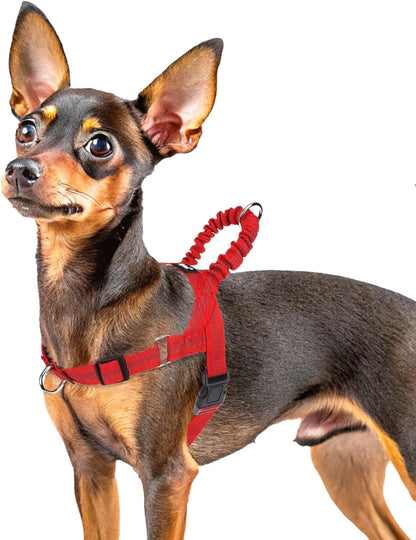 PUPTECK No Pull Dog Harness Small Sized Dog, Adjustable Reflective Pet Vest Harness with Bungee Handle, Escape Proof No Choke Harness for Small Dogs Walking Training, Red XS