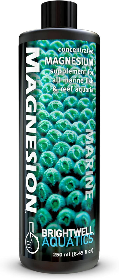 Brightwell Aquatics Magnesion Liquid Salt Water Conditioner - Concentrated Magnesium Supplement For Reef and Marine Aquariums, 8.45 fl oz