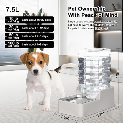 RIZZARI Stainless Steel Pet Water Feeder: 7.5L Automatic Leak-Proof Gravity Dispenser for Senior Dogs with Spine Problems - with Filter - Living Room Bedroom Use
