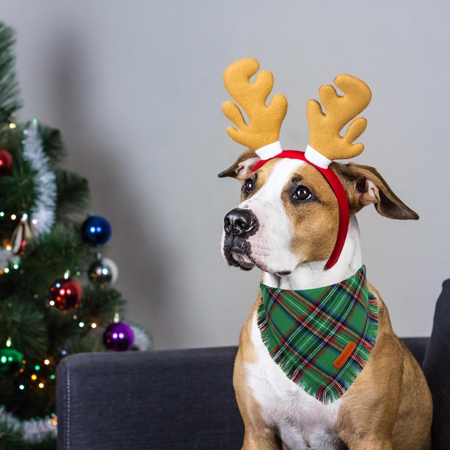 ADOGGYGO Christmas Dog Bandanas with Tassels, Stylish Plaid Dog Scarf Bib, Premium Cotton Fabric, Red Green Christmas Bandanas for Medium Large Dogs Pets (Large)