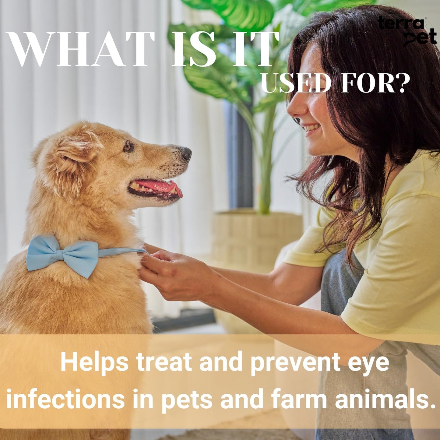 Pet Eye Cream Health for Dogs, Cats, Cattle, Sheep, Horse, Bird 1/8 oz / 5gr, 1 Tube