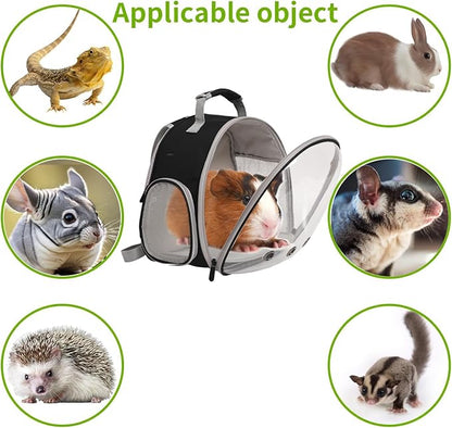 Guinea Pig Carrier,Guinea Pig Carrier for 2,Reptile Travel Carrier for Lizards Sugar Glider Hedgehog Rat Parrot Birds